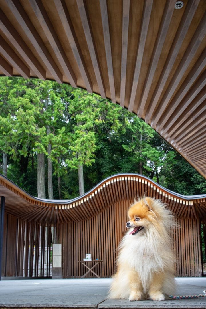 Canon EOS M2 ミラーレスカメラ レンズ3本付き