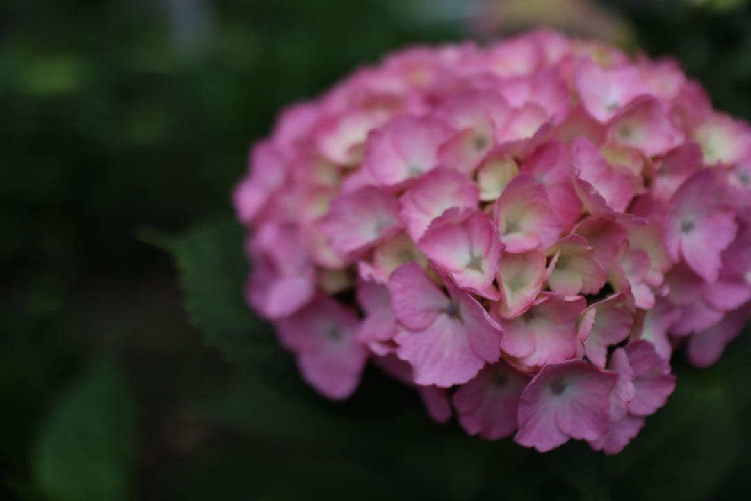 Canon EOS M2 ミラーレスカメラ レンズ3本付き