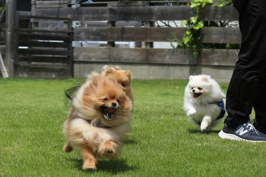 Canon EOS M2 ミラーレスカメラ レンズ3本付き