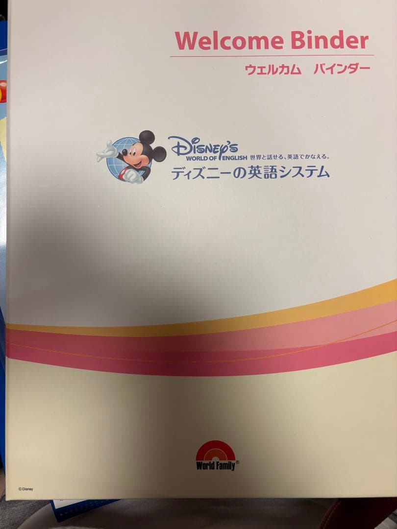 Aさん専用⭐︎DWE ストレートプレイBlu-ray⭐︎ジッピーDVDつき