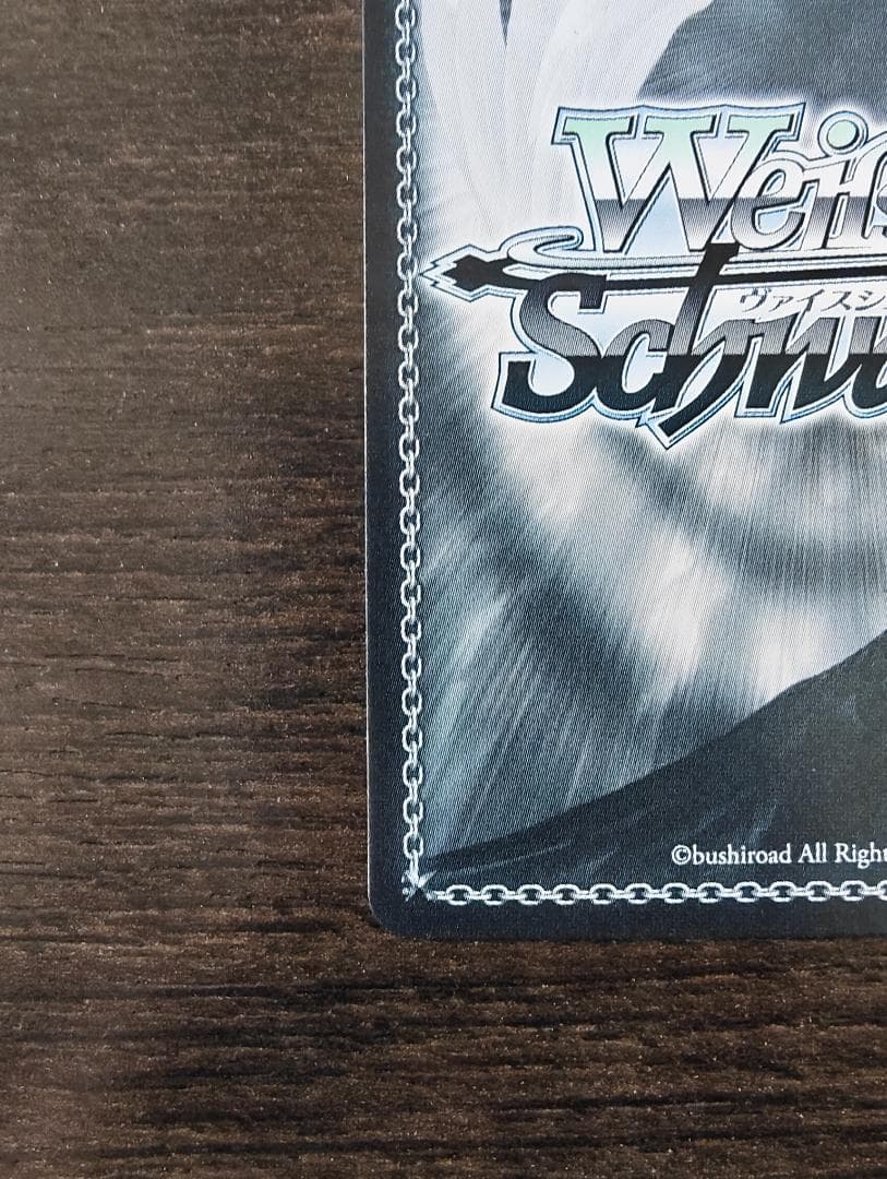 WS “トカゲの保護” ティア SP NIK/S117-001SP