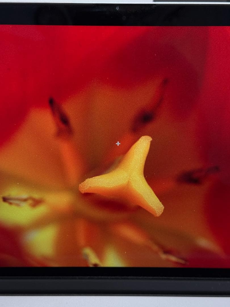 Flextight 646 imacon 高精細ドラム式フィルムスキャナー