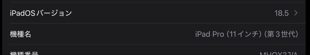 iPad Pro 11 512gb 第3世代 バッテリー良好 美品 高級ケース付