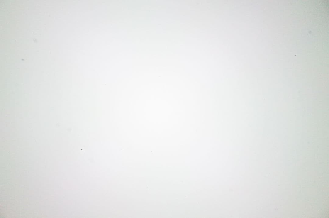 デジタルカメラ SONY RX1