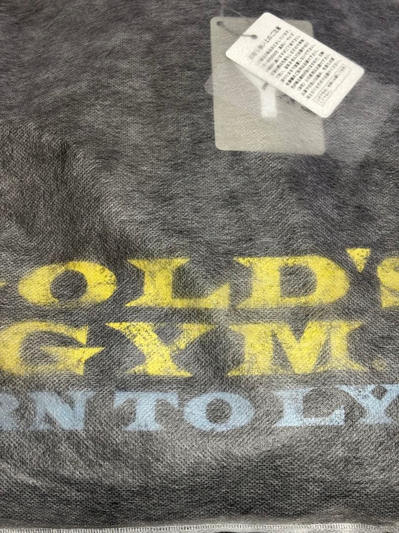 M LÝFT × GOLD'S GYM VINTAGE LOGO HOODIE