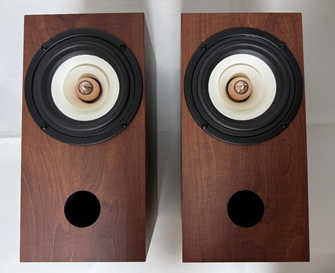 FOSTEX P1000E +WP-FL10スピーカー