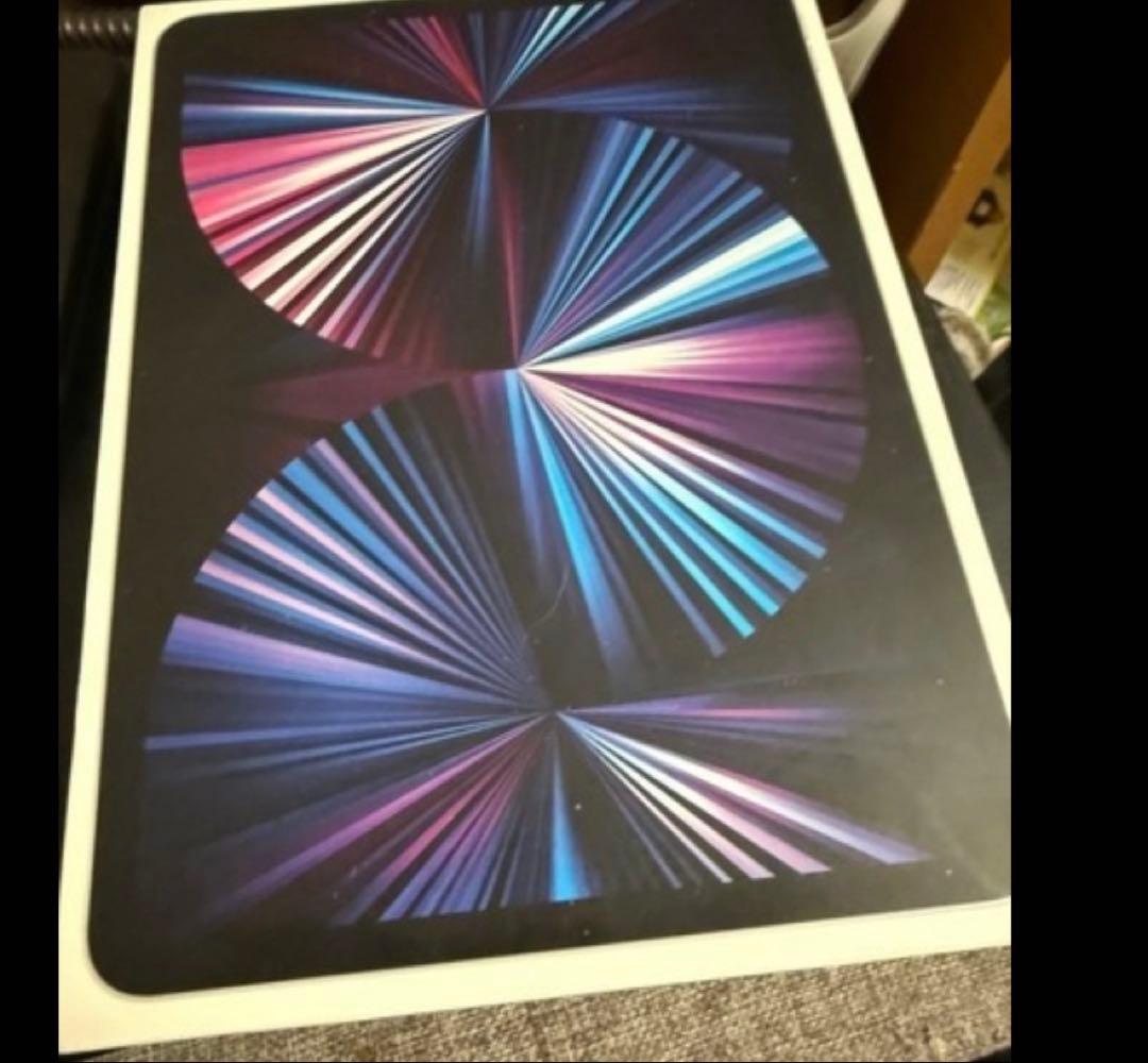 う*ん様 iPad Pro 11インチ第3世代　512GB