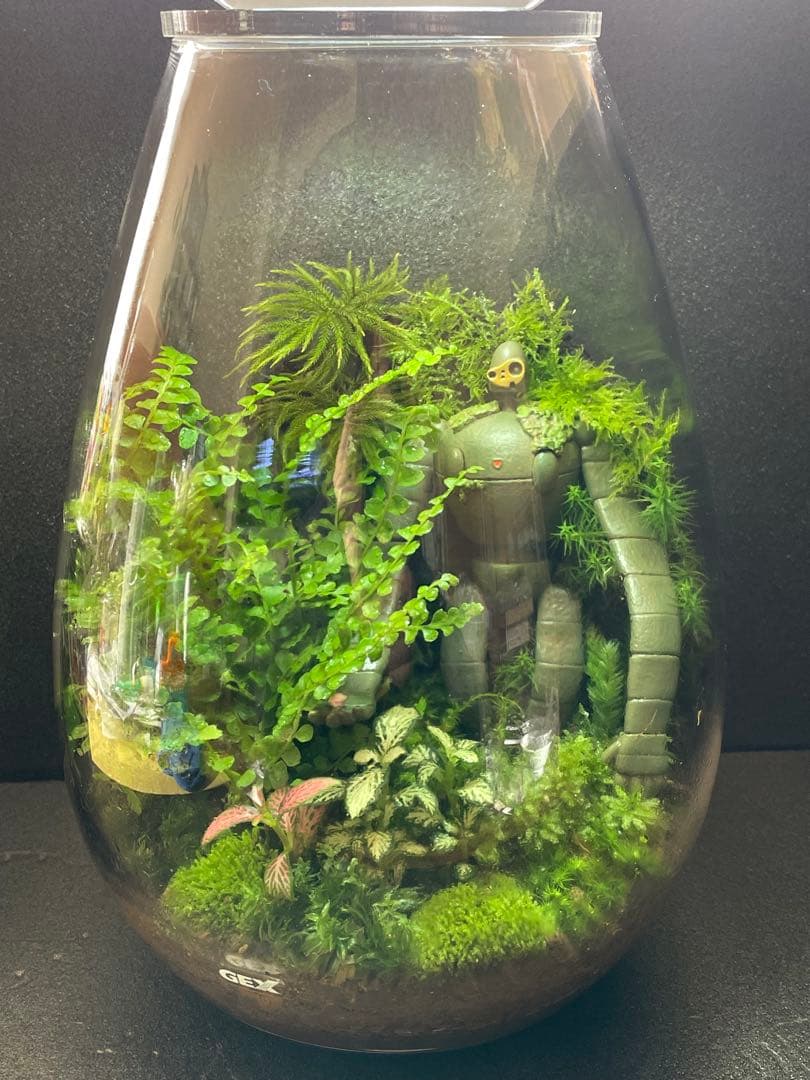 専用商品　同梱　苔テラリウム　②