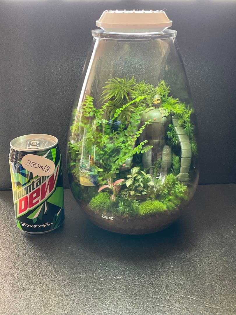 専用商品　同梱　苔テラリウム　②