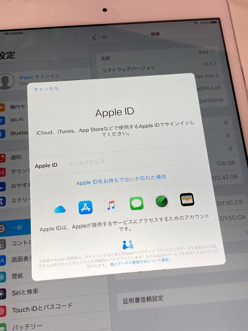iPad mini 3 128GB MGP42J/A 付属未使用 Wi-Fi⭐️