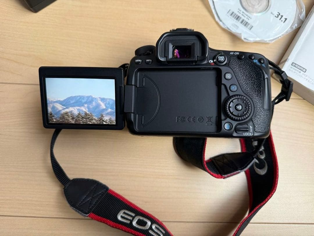 【極美品】Canon EOS 80D ★シャッター数1万回！