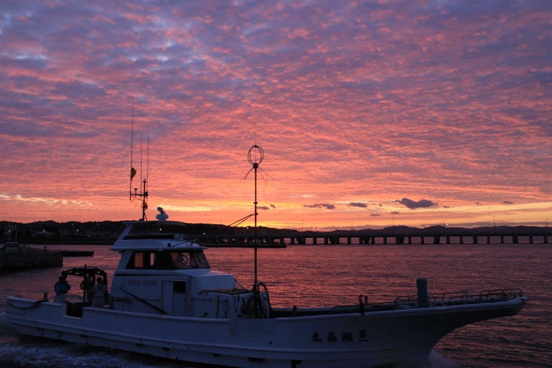 【極美品】Canon EOS 80D ★シャッター数1万回！