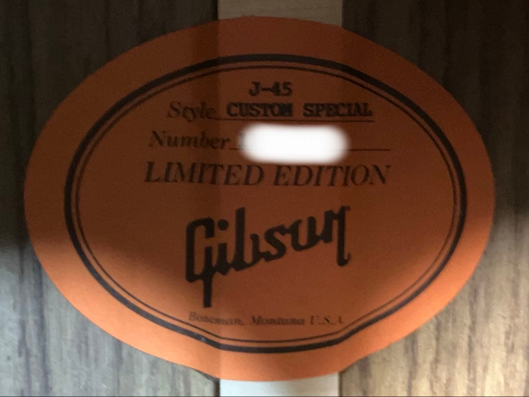 ギター Gibson / J-45 Custom