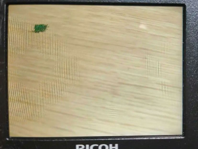 RICOH GXR本体/P10セット