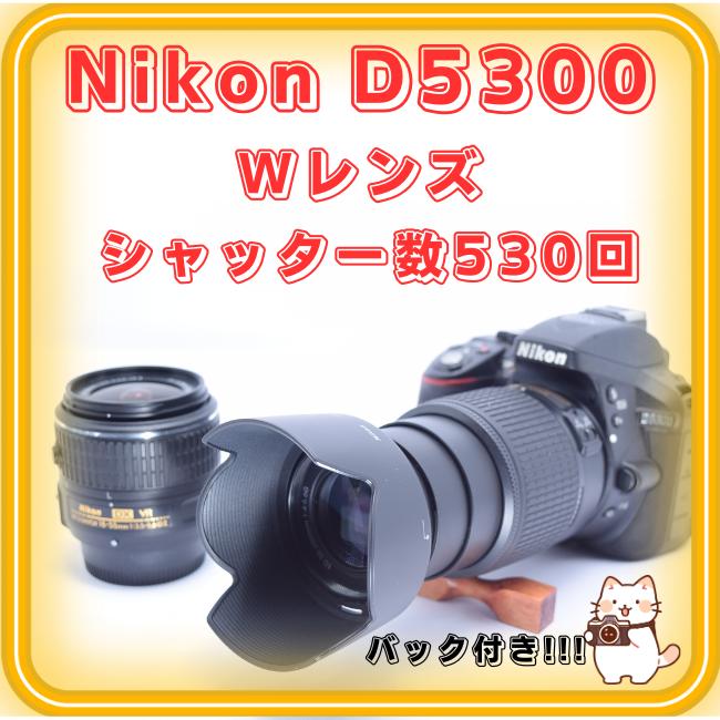 Nikon D5300　一眼レフカメラ　シャッタ数約500回　おまけ多数