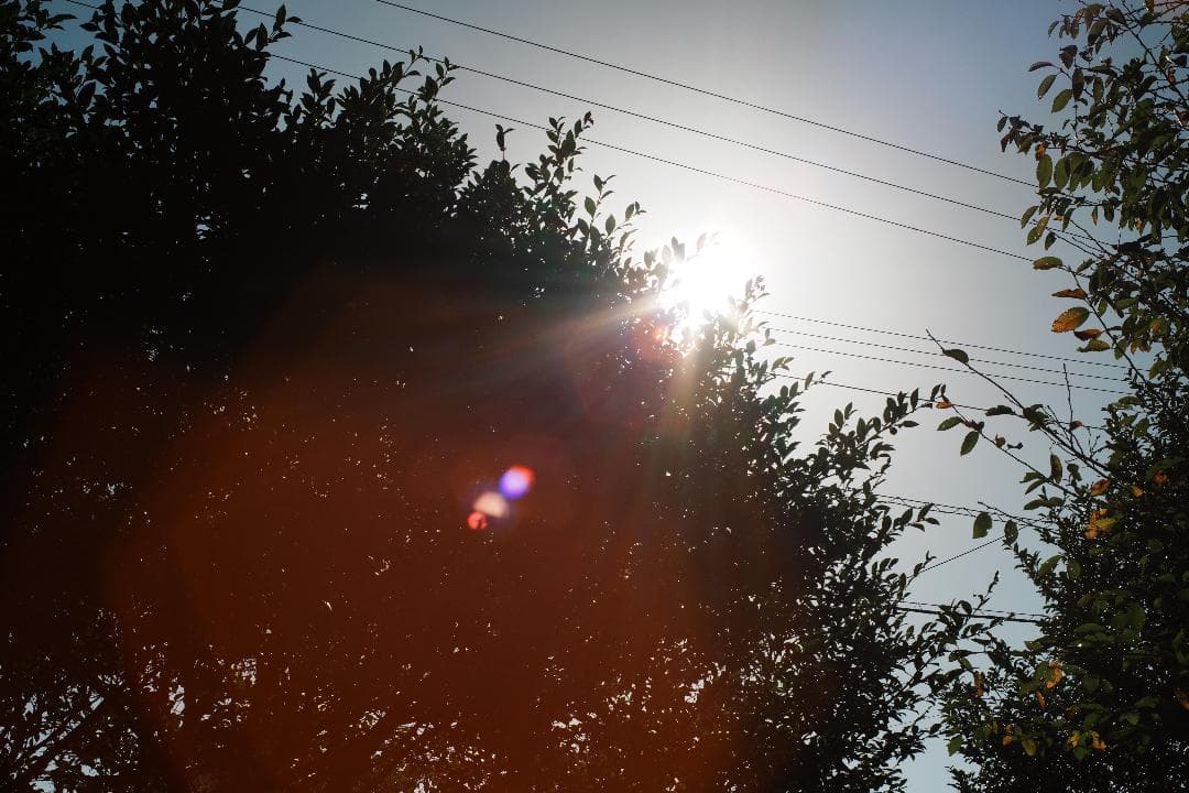 【整備＆テスト済】 Super Takumar 50mm F1.4 122