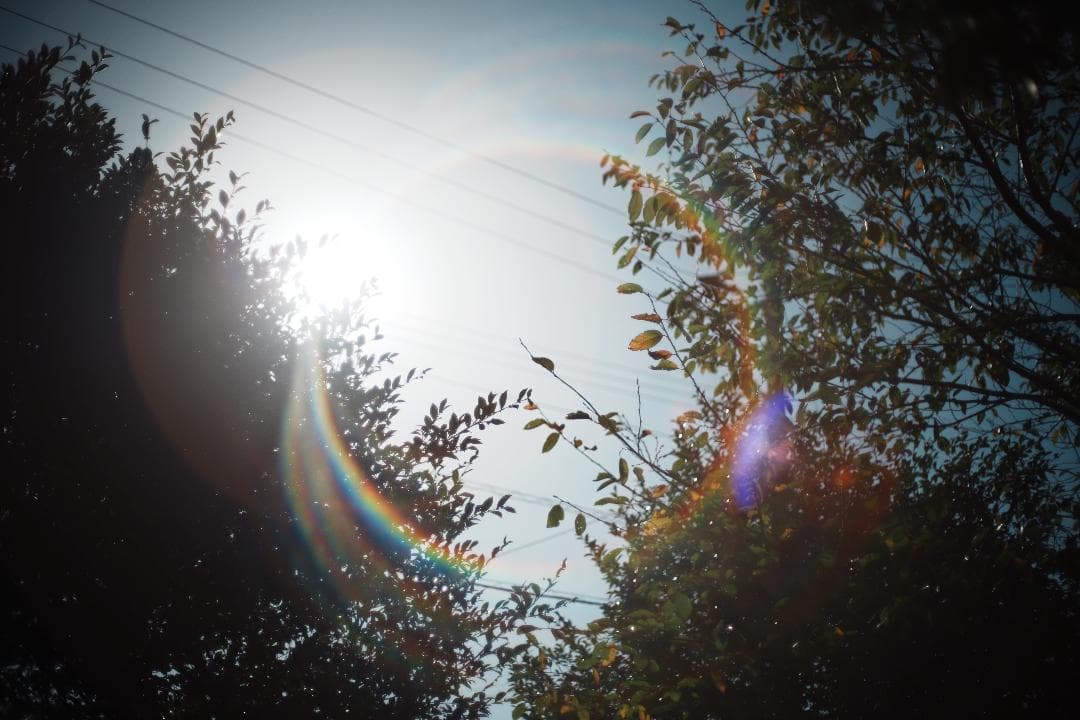 【整備＆テスト済】 Super Takumar 50mm F1.4 122