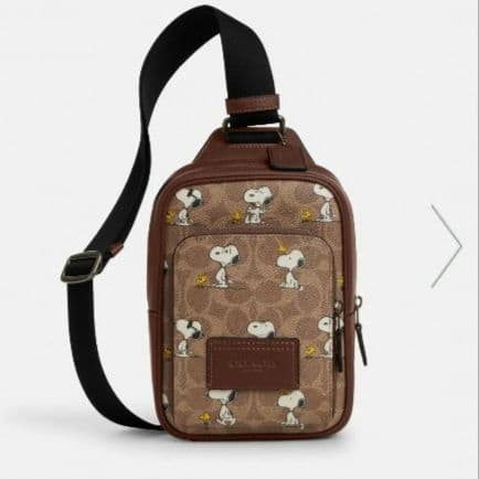 COACH　ショルダー　スヌーピー　メンズ