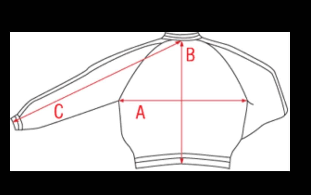 スカジャン舞妓xCHIEFテーラー東洋　TT11381サイズM 中古美品
