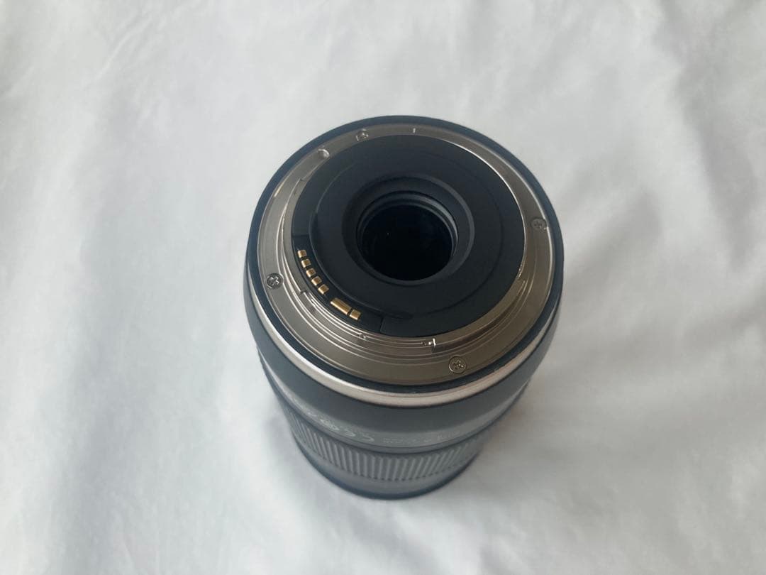 ◎Maple ◎TAMRON 18-400mm F/3.5-6.3