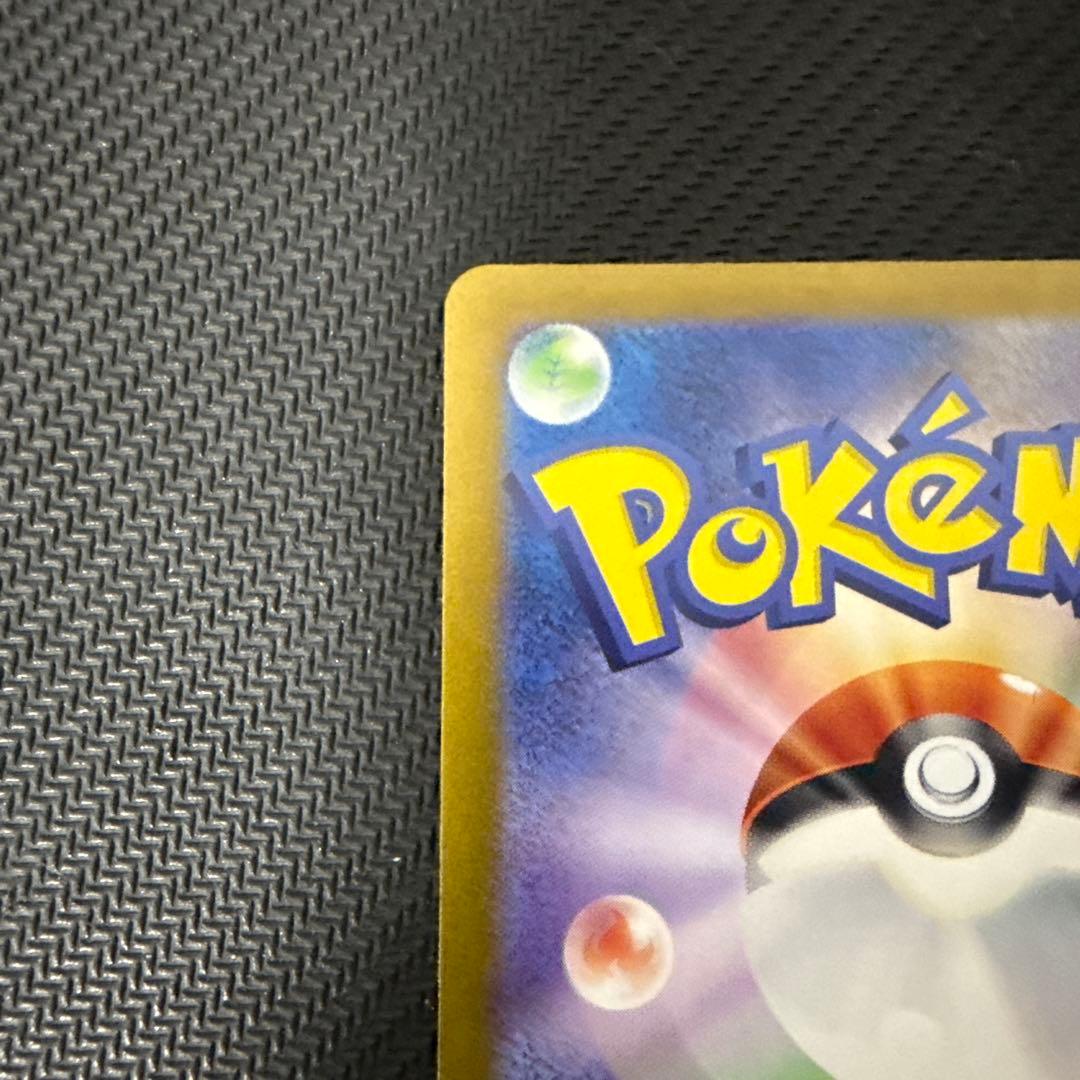 ゼイユ SAR（sv6 130/101）