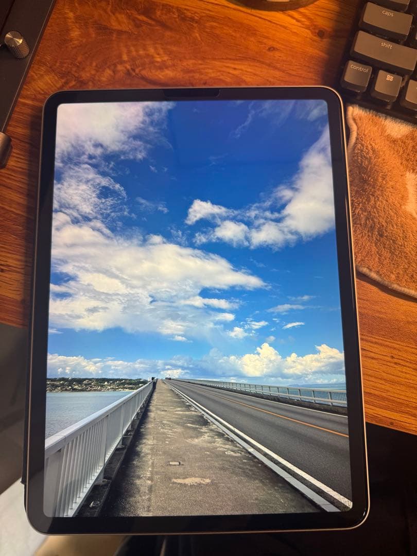 【箱あり】iPad Pro (第2世代) 11インチ 256GB WiFiモデル