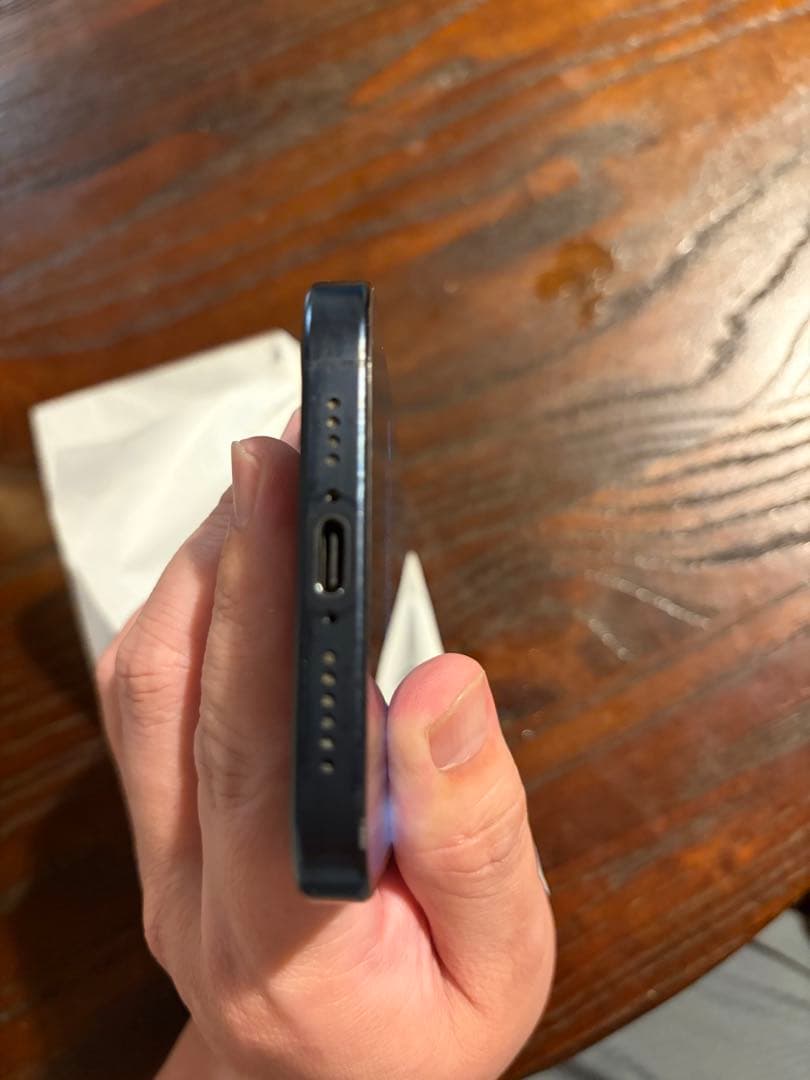 iPhone15 プロマックス アップル