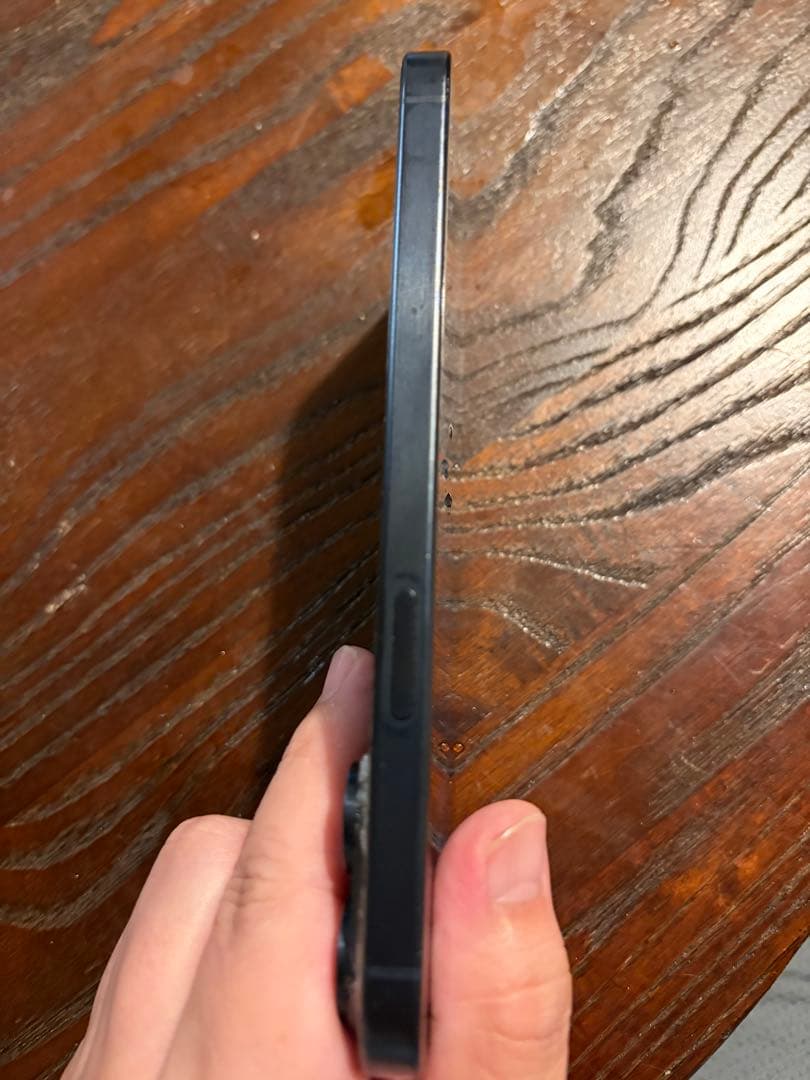 iPhone15 プロマックス アップル