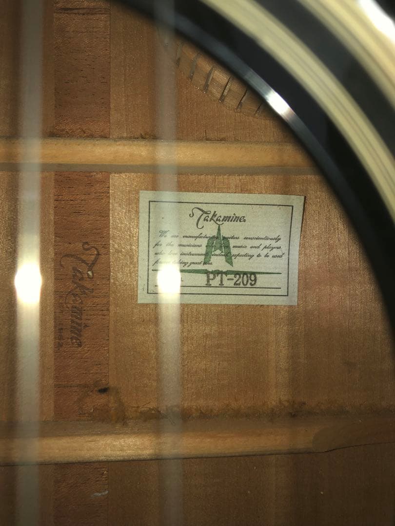 希少！　TAKAMINE PT-209 BL エレアコ