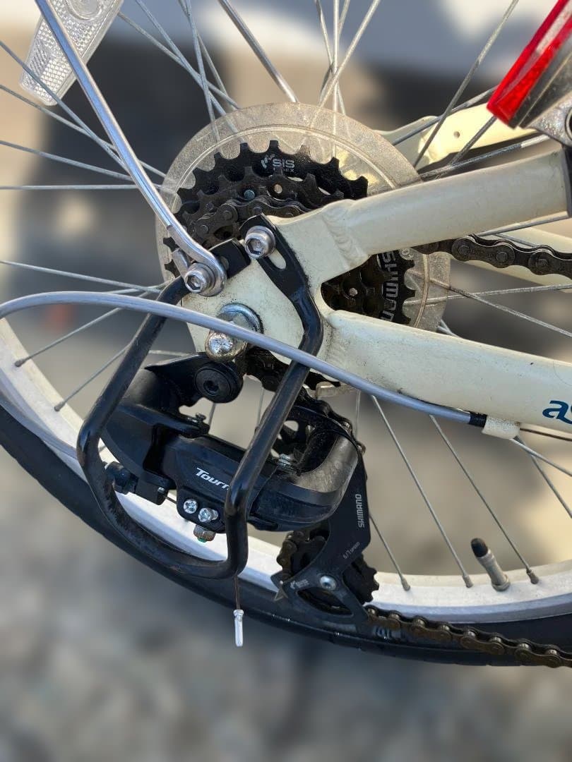 おがくず　KhodaaBloomコーダーブルーム子供自転車　22インチ