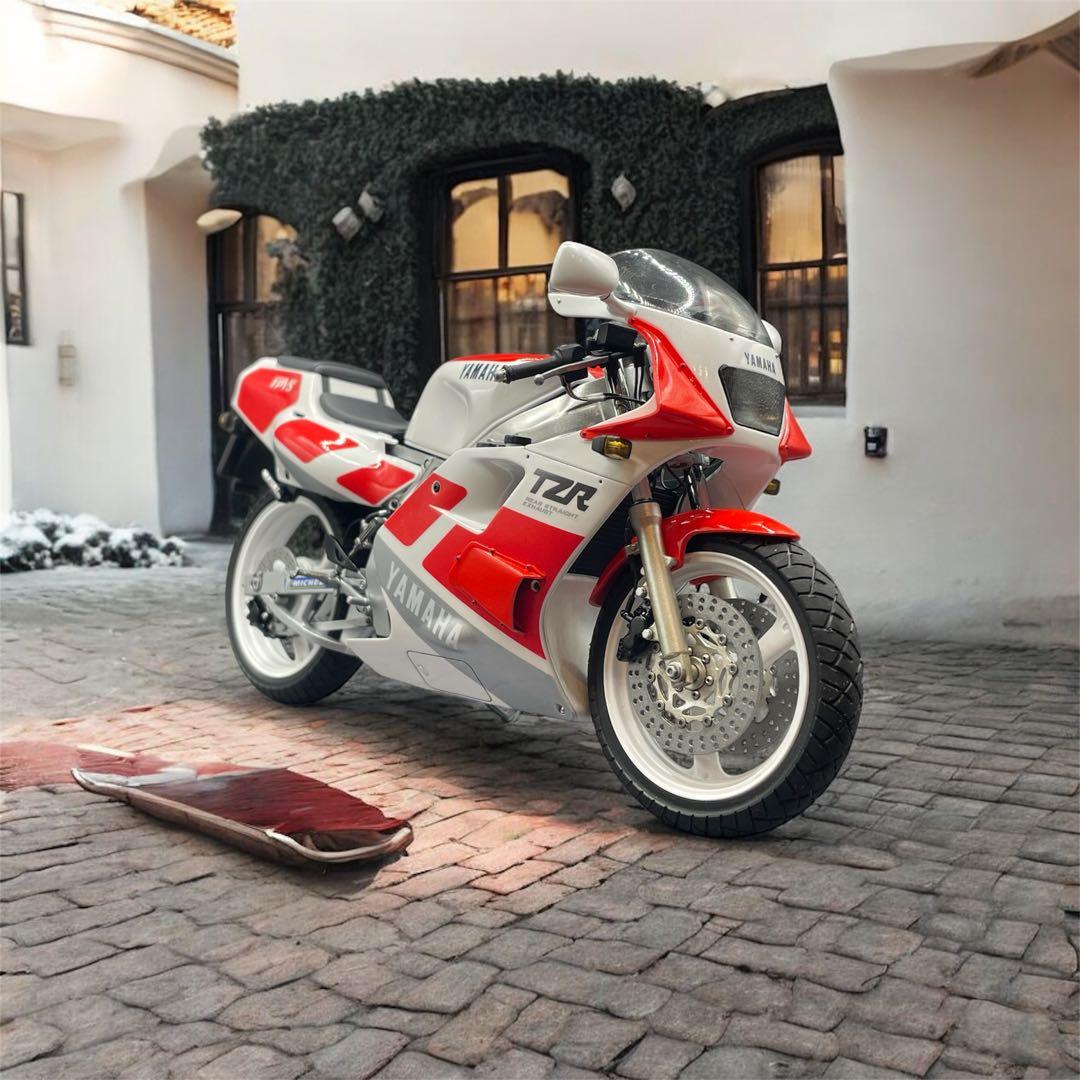 Yamaha TZR250 3MA 1/12 完成品 Hasegawa製