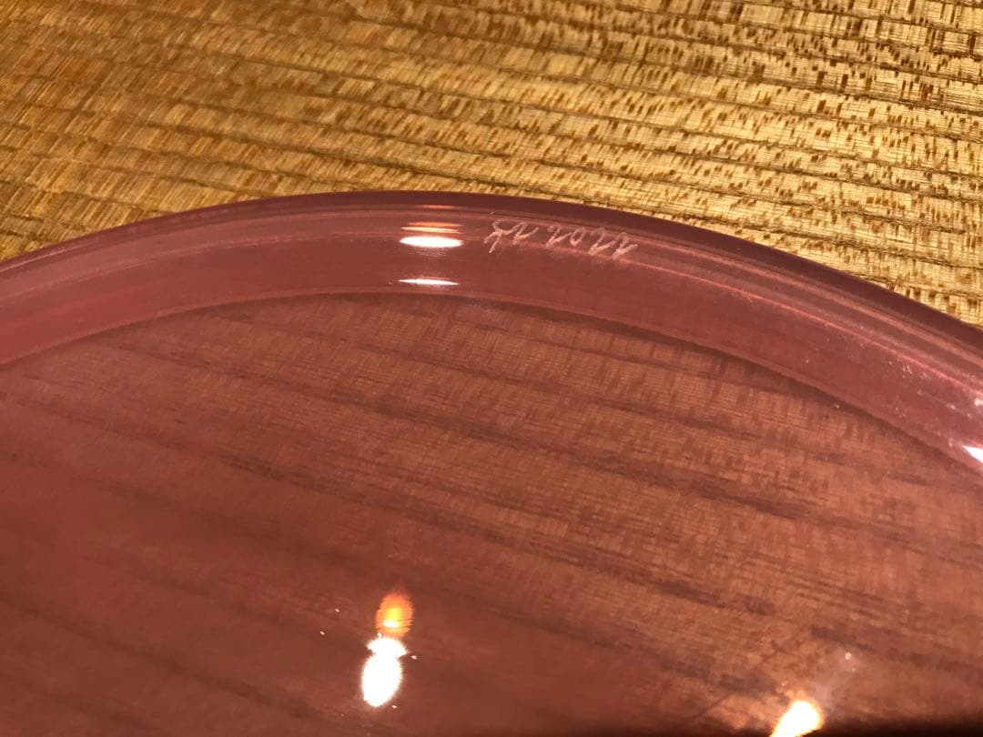 クリスマスSALE 辻和美+factoryzoomer ガラスプレート2枚セット