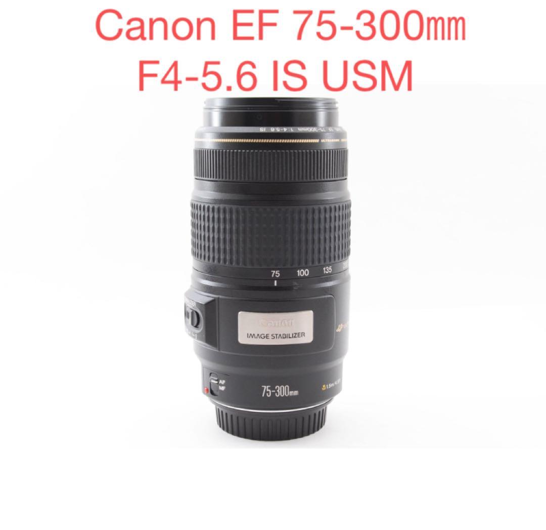 キャノン/美品/Canon EF 75-300㎜F4-5.6 IS USM