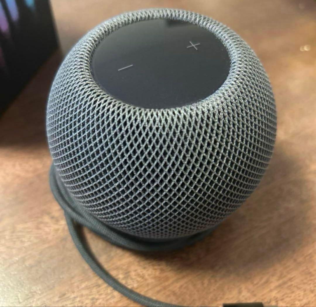 Apple Pod mini スペースグレー