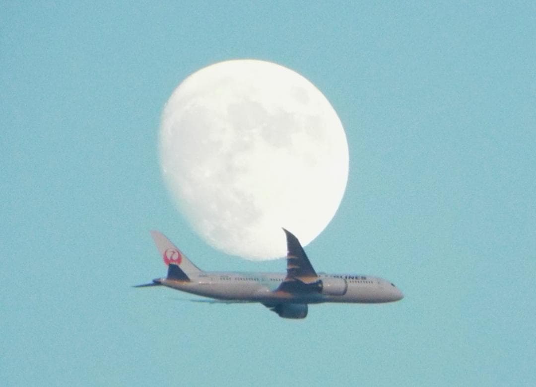 ❤最終特売特価❤FUJIFILM FINEPIX S9800 　50倍ZOOM