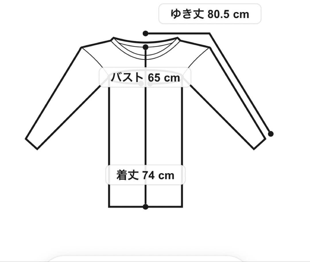 Gabrielle×AMERI 10TH HISTORY SHEER TOP