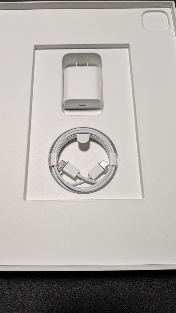 iPad Pro　第5世代　12.9インチ 256GB cellularモデル