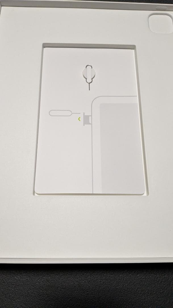 iPad Pro　第5世代　12.9インチ 256GB cellularモデル