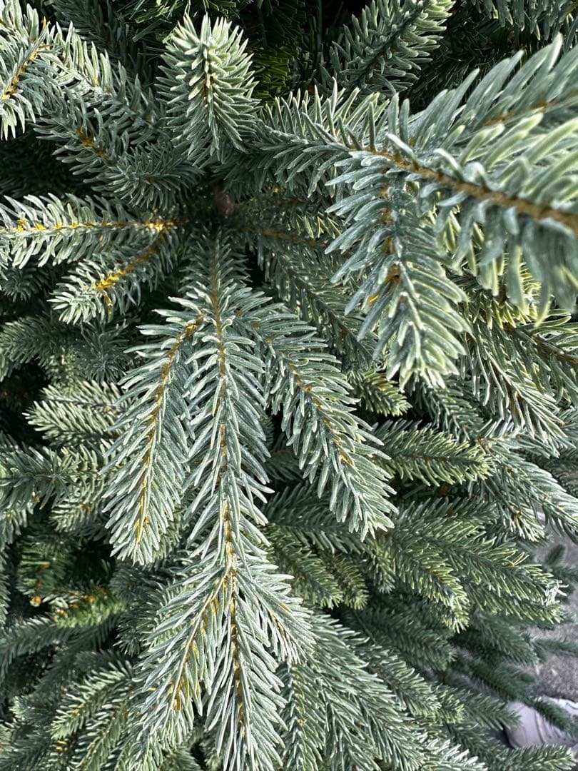 コストコ　200cm 緑色クリスマスツリー