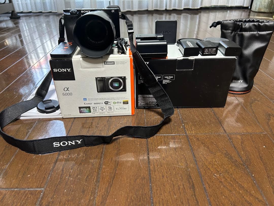 Sony α6000 Sonnar T*E24mm F1.8ZA:写真515回