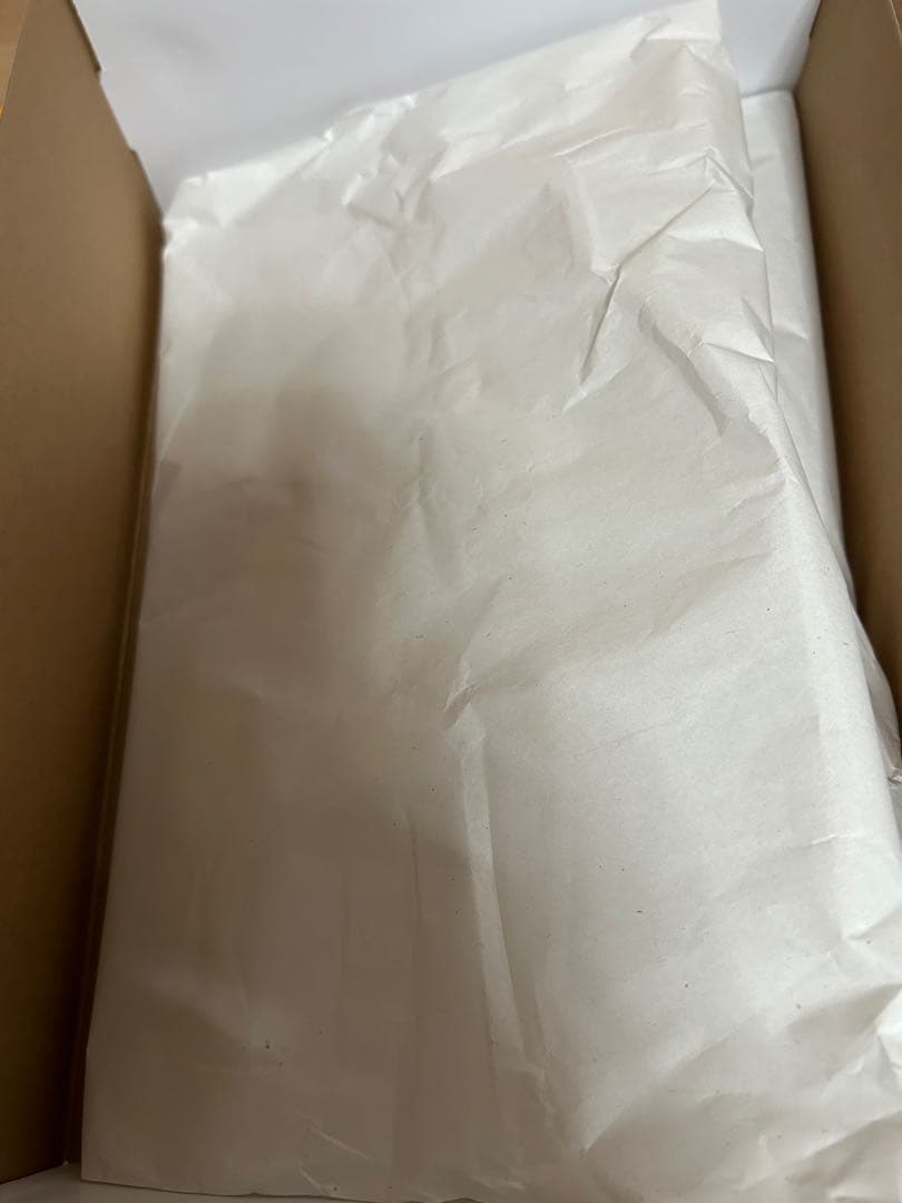 靴 NIKE AIR JORDAN 1 TAXI