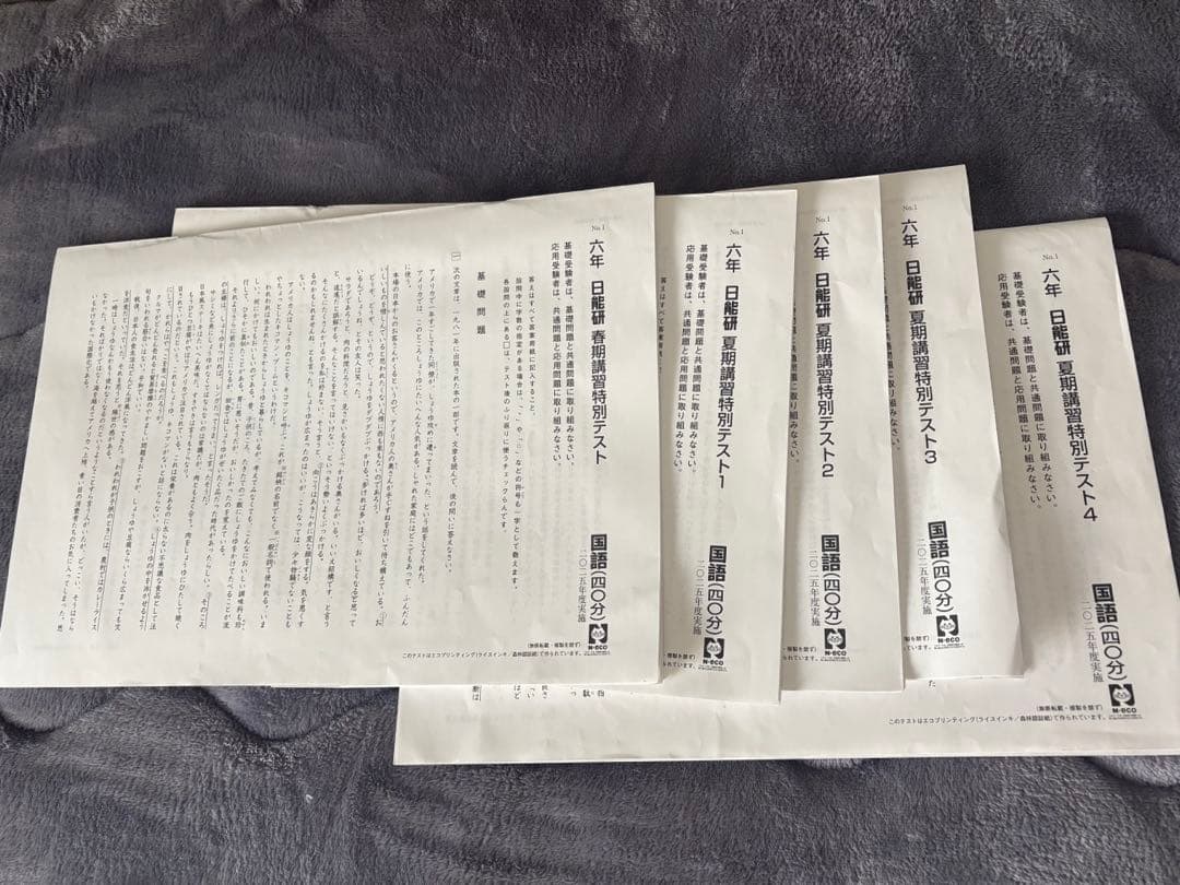 日能研テスト2025年度(現6年)公開模試 育成 夏期春期講習フルセットおまけ付