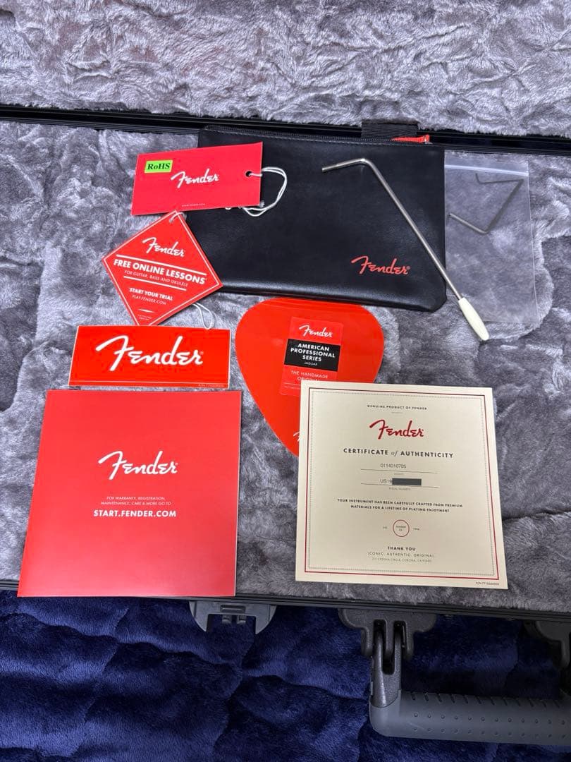 Fender American Professional Jaguar 改造あり