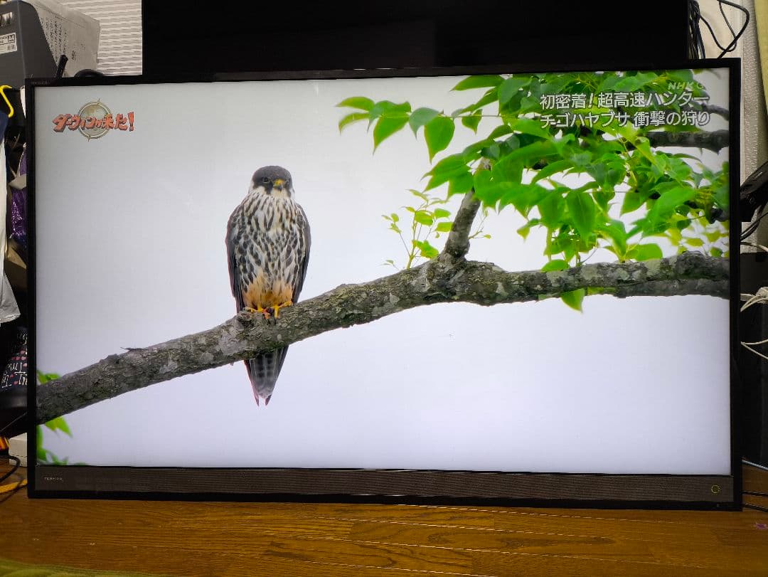 TOSHIBA 50M510X 液晶テレビ 50インチ