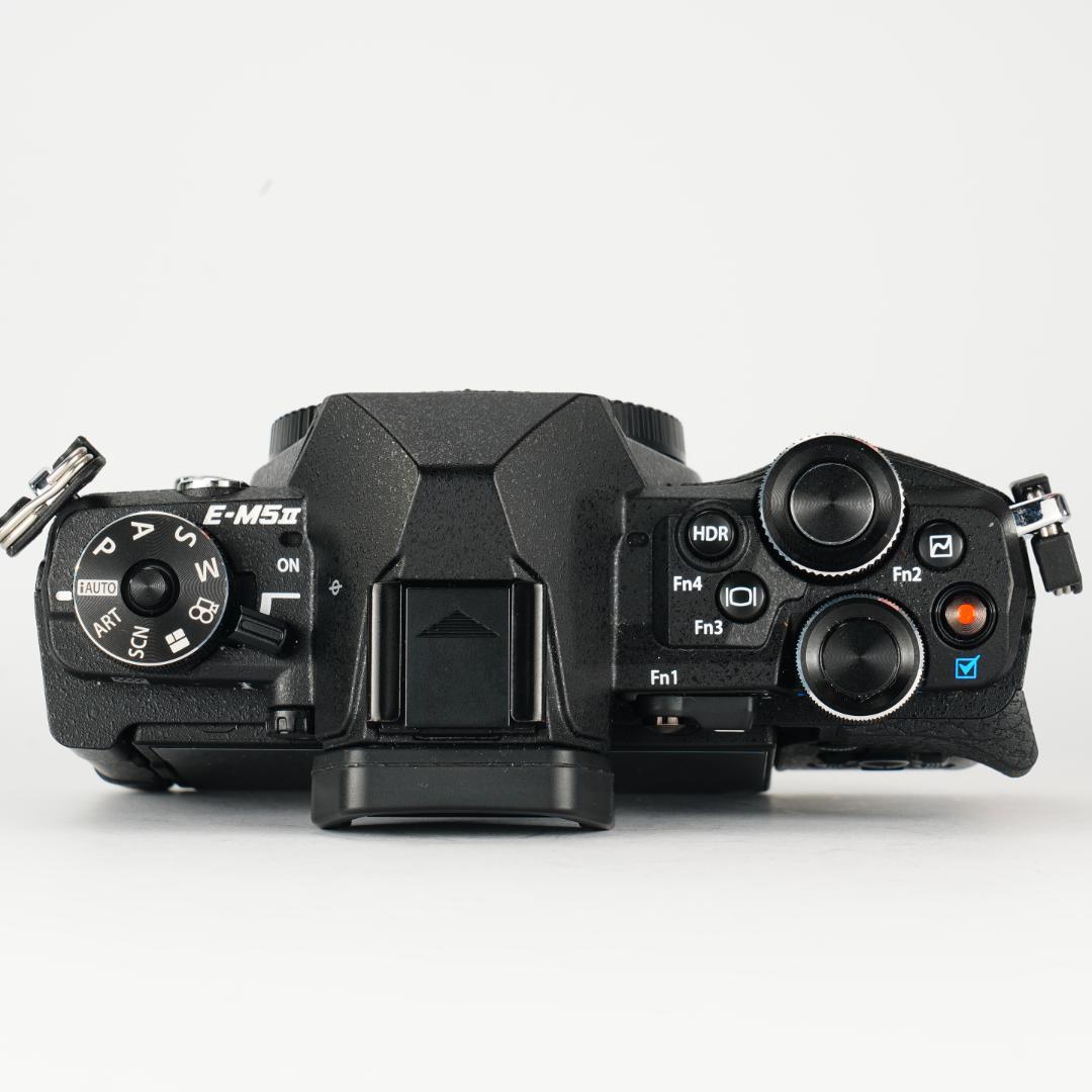 雨でも撮れる。防塵防滴OM-D E-M5 Ⅱ 12-40mm F2.8 Pro