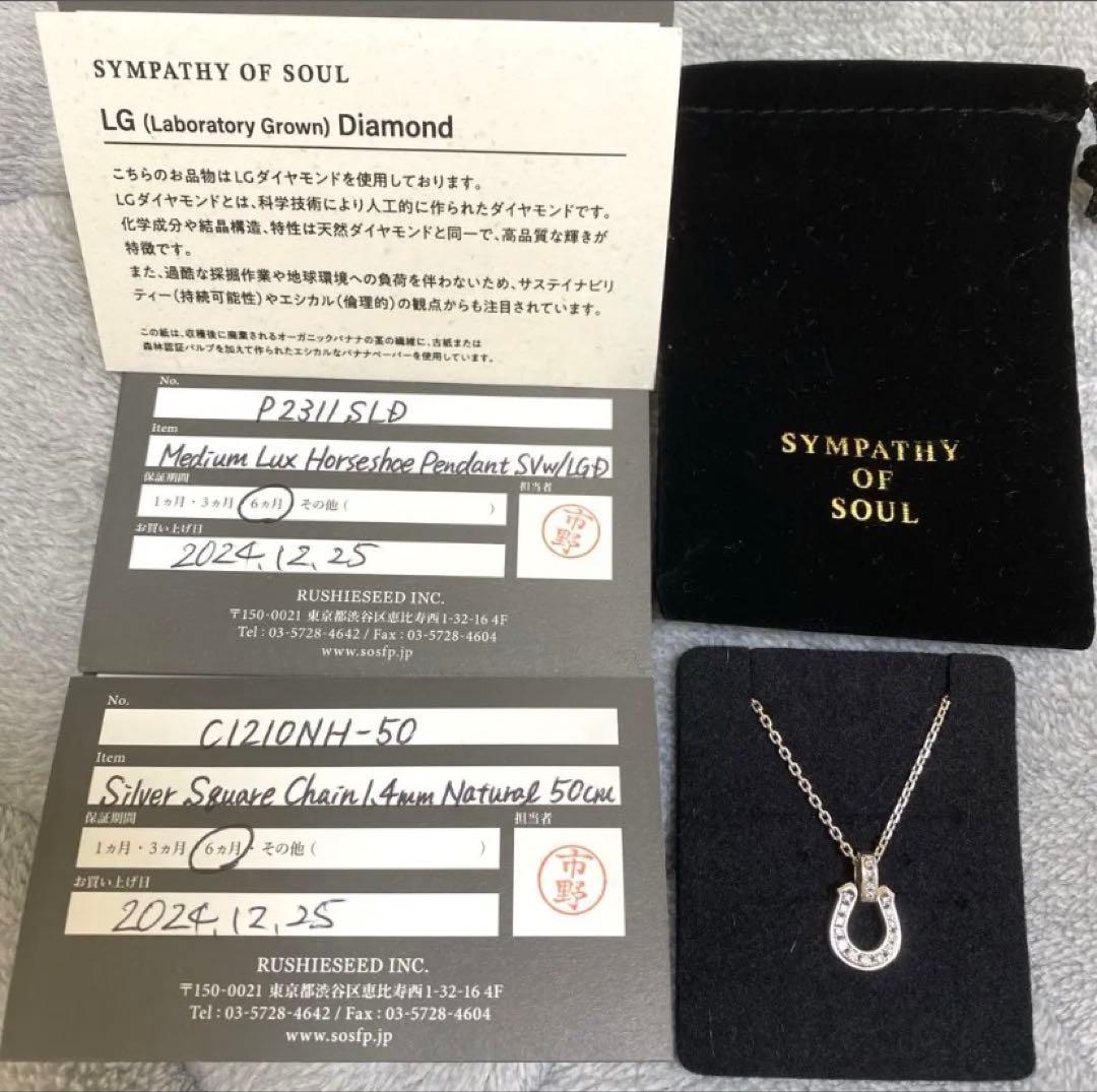 【シンパシーオブソウル】ミディアムラックスホースシューペンダント