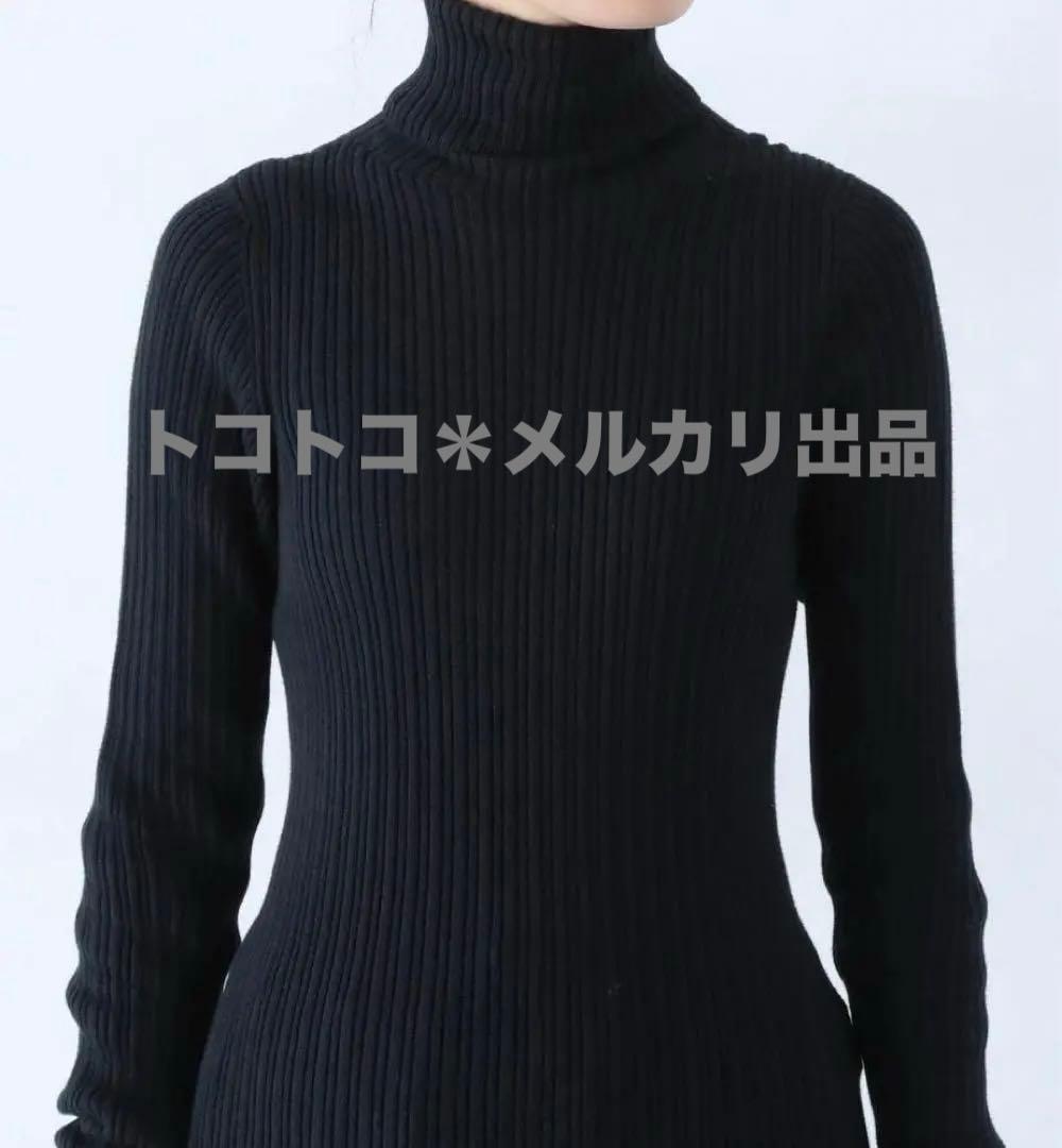 トップス ICHI Antiquite's / Rib Knit Turtle Neck