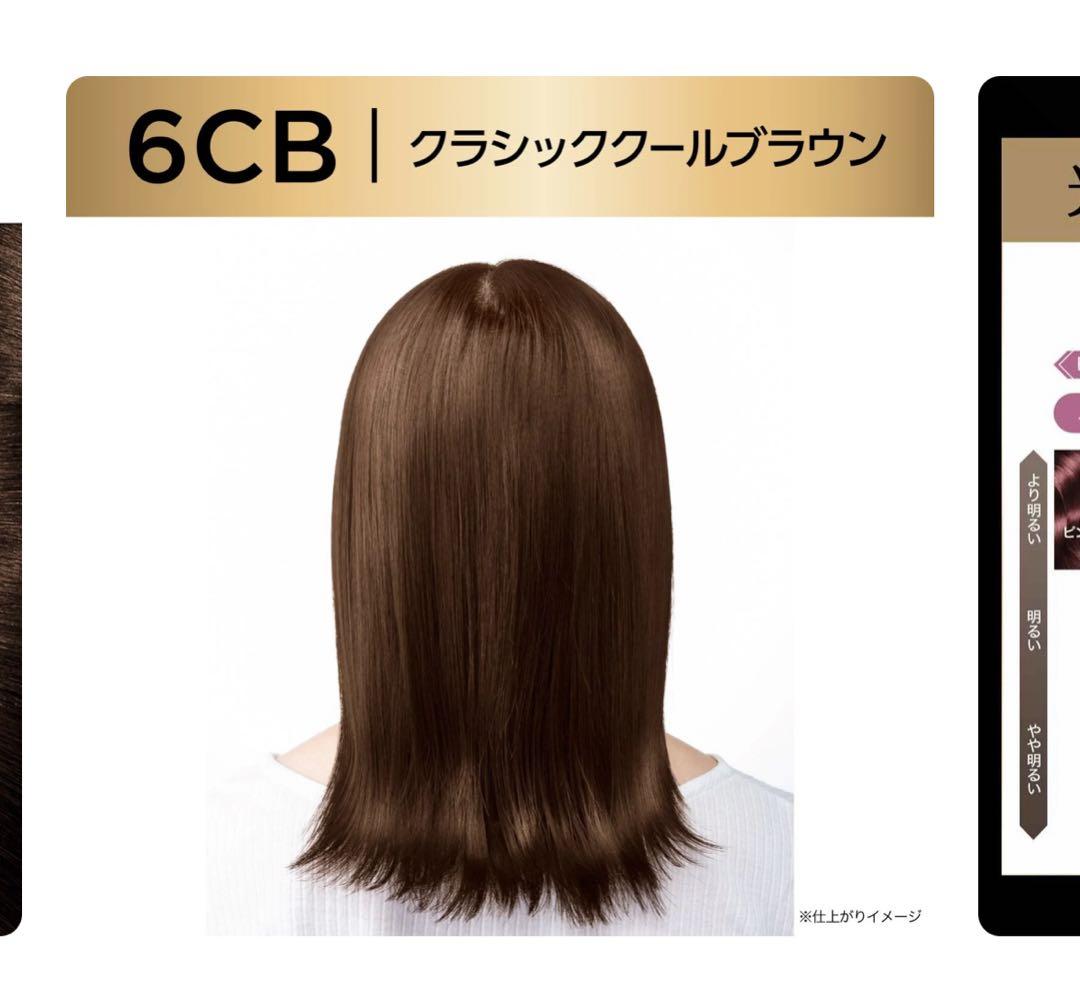 【まとめ割】ロレアルパリ　オレオリュクス 6CB クラシッククールブラウン10点