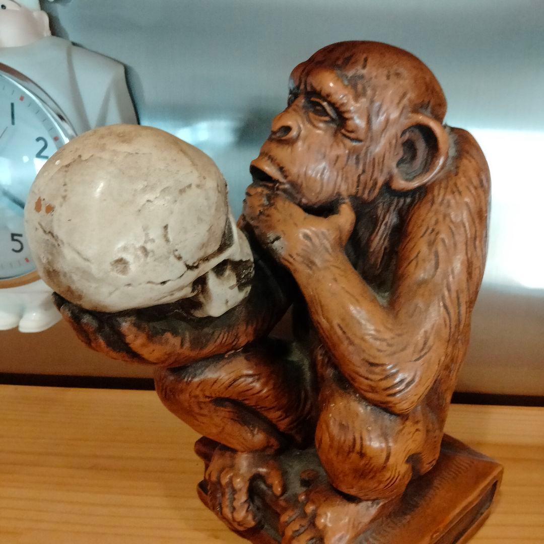 b*x様 1963年　ダーウィン　スカル　ドクロ　モンキー　ビンテージ レア