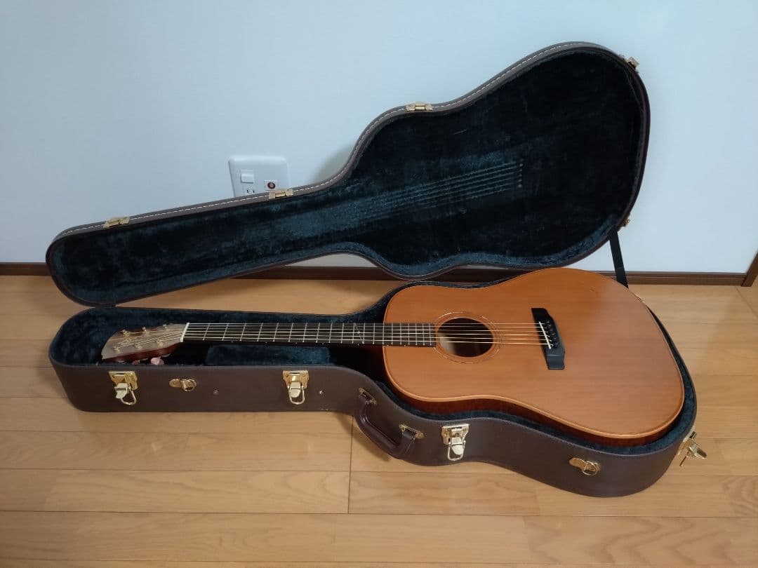 ギター Alvarez K.yairi DY-61